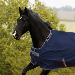 Nahaufnahme schwarzes Pferd mit Outdoordecke in dunkelblau mit Einfassung, seitlichen Verschlüssen und Brustverschluss in der Farbe silber, Hintergrund Landschaft im Grünen.