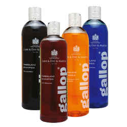 Vorderseiten der vier Produktflaschen der Farbglanz Shampoo Serie von Gallop in den Farben schwarz, rot, orange und blau mit weißer Aufschrift und Dossier-Verschluss in silber, Hintergrund weiß.