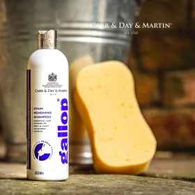 Image Bild: weiße Gallop Fleckentfernungs Shampoo Produktflasche 500 ml mit lilafarbener Aufschrift steht auf dem Stallboden vor einem Blecheimer mit Schwamm.